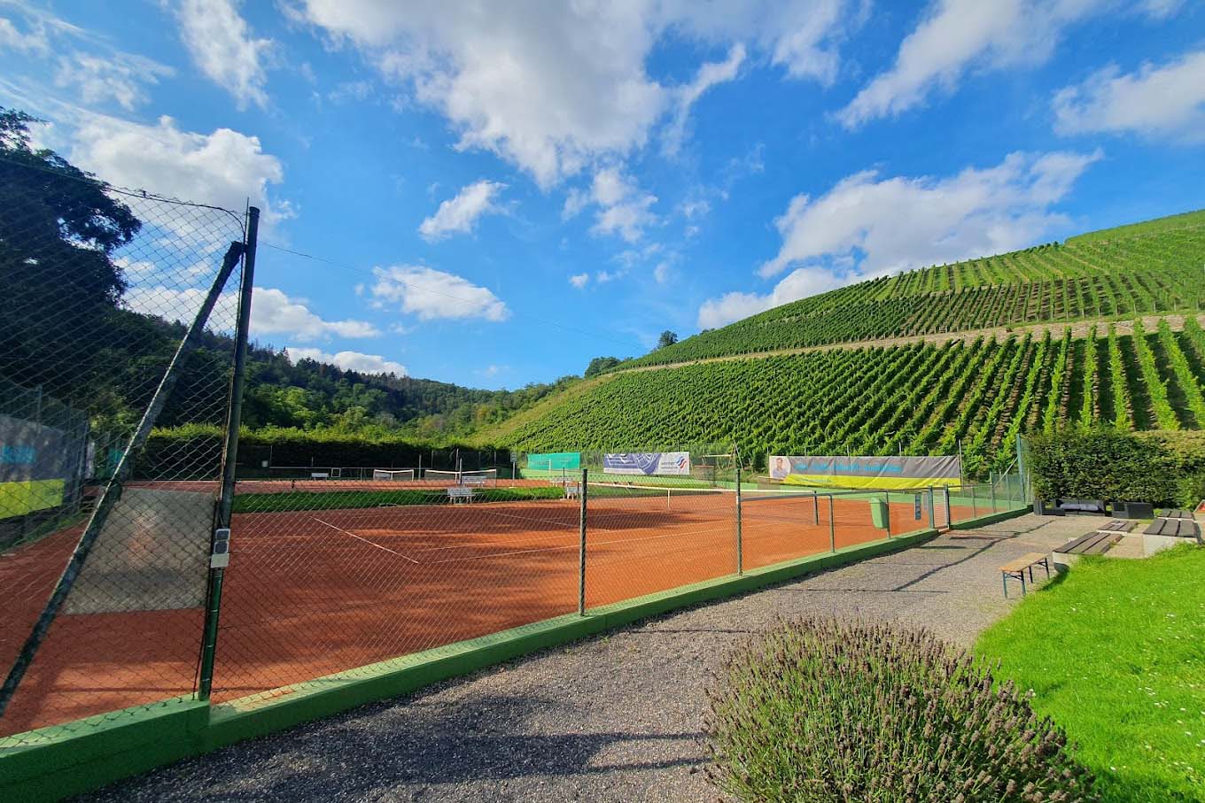 Tennis Sport Walluf Partner - Tennis Club Rot Weiß Eltville Tennisplatz und Weinberge